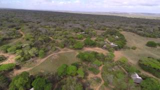 Download lagu Phinda Vlei Lodge - Photos of Africa mp3