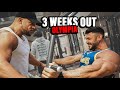 PUSH Training mit William Niewiara | 3 WEEKS OUT!