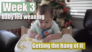 Getting the hang of it//Week 3 Baby Led Weaning