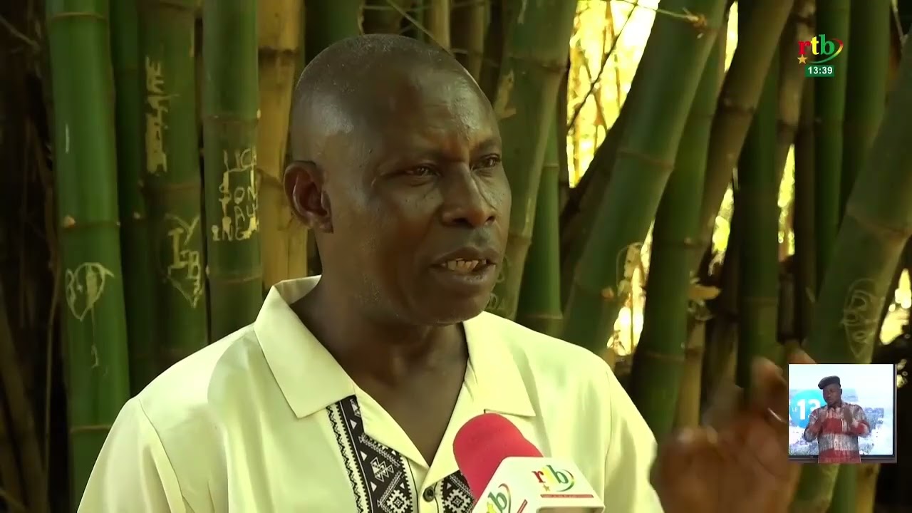 Environnement : la Guinguetta, un sanctuaire de biodiversité