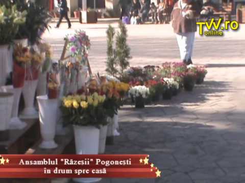 Proiect Mostenirea vie V   Pogonesti