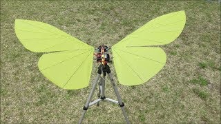Butterfly 3k4-1 Servo direct drive First test flight video1