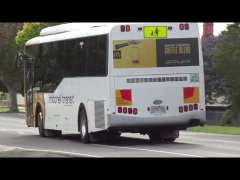 Mitchell Transit Mercedes Benz (OH1830LE) #46 at Seymour - 18/1/20