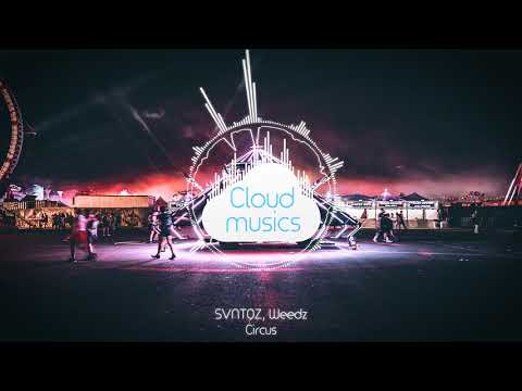 SVNTOZ, Weedz - Circus