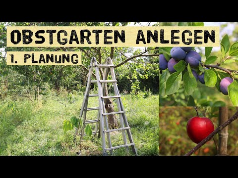 Obstgarten planen und anlegen - das musst du beachten! Selbstversorger Obstplantage im Garten.