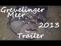 Trailer - Diving - Grevelinger Meer 2013 - Europa, Grevelinger Meer, Niederlande