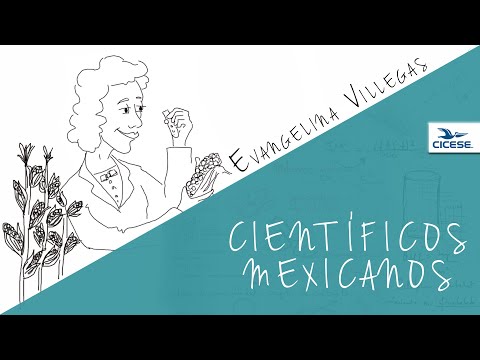 Evangelina Villegas - Científica Mexicana