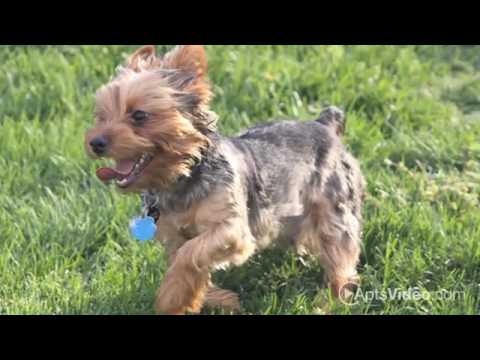 Bella Del Mar Apartments in Del Mar, CA - ForRent.com