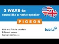 PIGEON pronunciation | Improve your language with bab.la