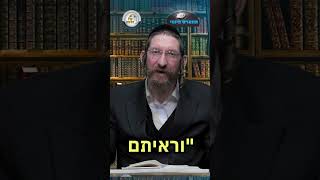 💎הווארט היומי - היד הגדולה, י' שבט תשפ"ו | הרב ישראל דוד כהן (ארגון קול הלשון) - התמונה מוצגת ישירות מתוך אתר האינטרנט יוטיוב. זכויות היוצרים בתמונה שייכות ליוצרה. קישור קרדיט למקור התוכן נמצא בתוך דף הסרטון