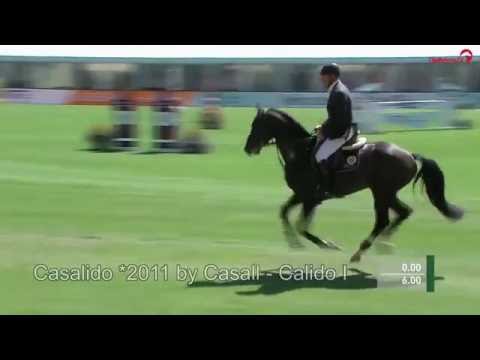 Casalido - Sosath (Rastede)