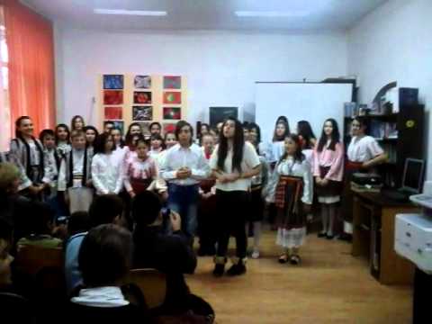 Unirea Principatelor Romane - Scoala NR1 Tibucani, de sus