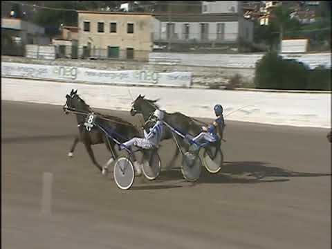 Trotto 01/12/2019 - 1ª corsa