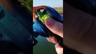 How To Properly Backlash!