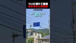 ついに壊れる、おさる実況者。～岩手を添えて～　#JapanGuesser #ジャパンゲッサー #shorts