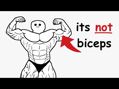 This Is What REALLY Makes Your Arms Look Big