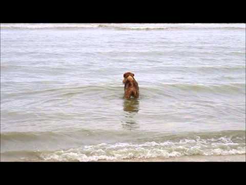 Kita, the fisherwoman