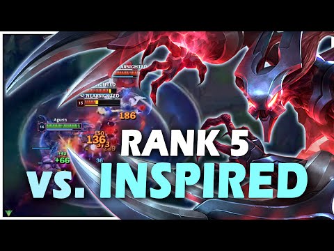 ALLES IST WILD UND GUT! - Agurins Stream Highlight