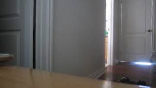 MVI 0011 - Anne Murray - Winter Wonderland