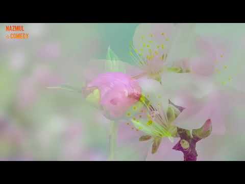 Nice full-HD-NaZmul☆Comedy