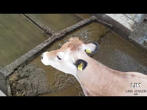 Manure handling system - LJM - Lind Jensen Agri