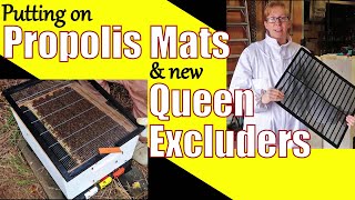 Putting on Propolis Mats / New Queen Excluders