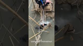 Download lagu Detik-Detik Jembatan Ambruk Saat Warga Melewati@!!! mp3