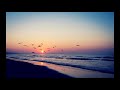 Jealous, Cake by the Ocean, and Sucker Medly Lyrics Jealous, Cake by the Ocean, and Sucker Medly Lyrics