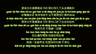 黄丽玲 (Huang Li Ling/A-Lin) - 分手需要练习的 (Simplified Chinese/Pinyin Lyrics HD)