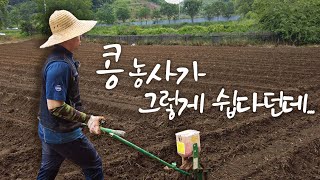 콩 농사로 돈 벌기, kg당 가격은 얼마?