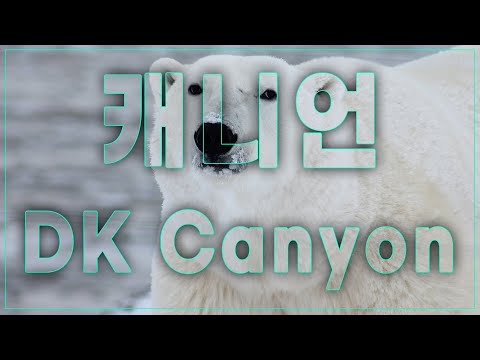 Dwg Kia Canyon montage - 담원 기아 캐니언