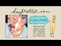 Guy Clark - El Coyote - Daytrotter Session