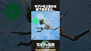 ギブドを上空から落下させると…【ゼルダの伝説 ティアキン】