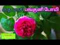 Thai Maasi Panguni Poyi Sithirai Maasam Tamil Song In Digital Music Use