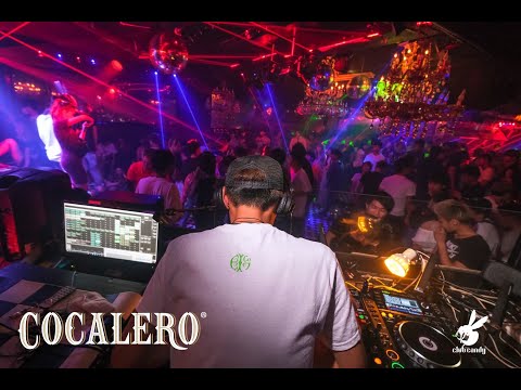 COCALERO JAPAN TOUR 2019 in SUMMER