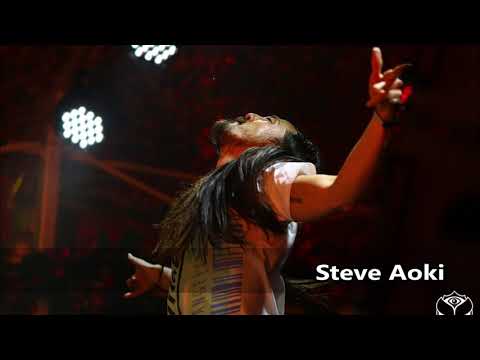 Steve Aoki Tomorrowland 2014 (JM Remake)
