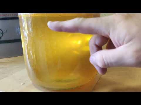 Flocculation in Grape and Rhubarb Organic Wine