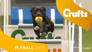 Flyball - Team Semi-Finals - Part 1 | Crufts 2019