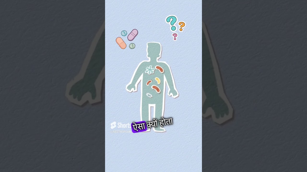 Why Antibiotics can kill bacterial cells but not human cells
