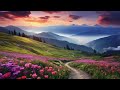 Behind the Ritual - Van Morrison | Live in Boston, USA