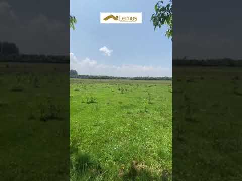 Área Rural à Venda em Passo do Sobrado/Corredor dos Rosas! - 16,4 hectares, R$ 820mil