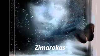 LUZ CASAL--ES POR TI