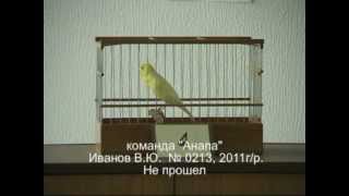 243. 5-й Краснодарский конкурс.
