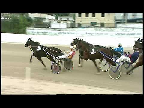 Trotto 04/12/2020 - 2ª corsa