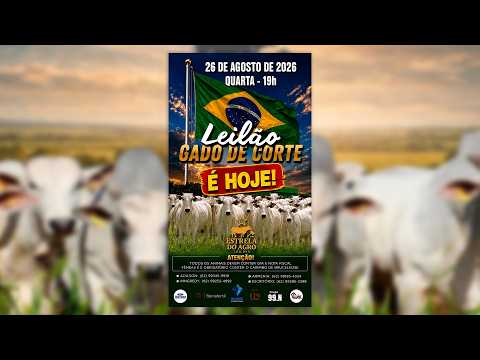 LEILÃO GADO DE CORTE ESTRELA DO AGRO LEILÕES  FAINA-GO 26/08/2026 | Leilão ao Vivo - Leilão de Gado