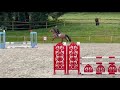 Jument de 4 ans, belles allures, id&eacute;ale amateur