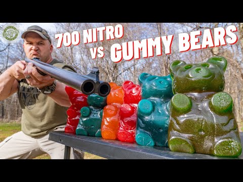 700 Nitro vs Giant Gummy Bears 🐻 (World’s Biggest Elephant Gun)