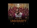Fabregas Le Métis Noir Ft Light Music Villa Nova Homme Idéal Official Audio