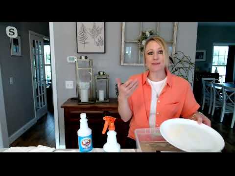 NP9 Set of 2 Indoor/Outdoor Stain Remover & Degreasers on QVC