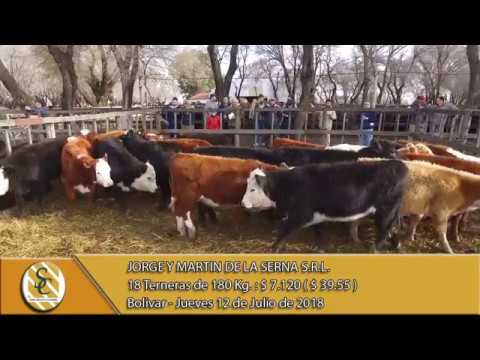 12-07-18 Venta de Hembras - Jorge y Martin de la Serna S.R.L. - Bolivar.